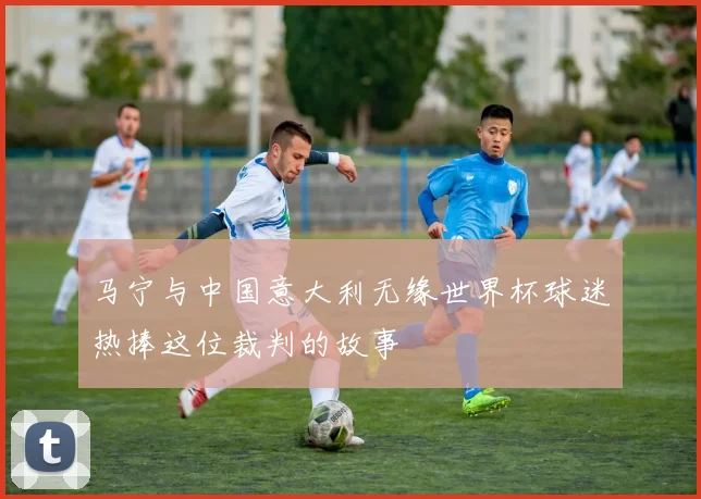 马宁与中国意大利无缘世界杯球迷热捧这位裁判的故事